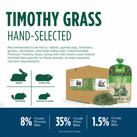 Hand-Selected Timothy Grass