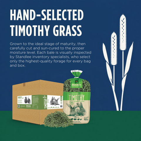 Hand-Selected Timothy Grass