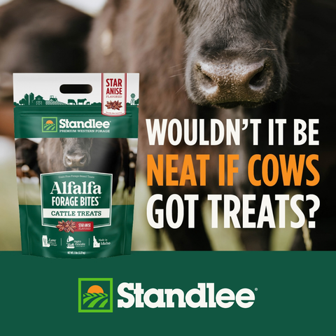 Alfalfa Forage Bites for Cattle - Star Anise Flavored