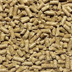 Bluebonnet - Kindle Bits 18%