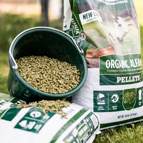 Organic Alfalfa Pellets - 40lbs