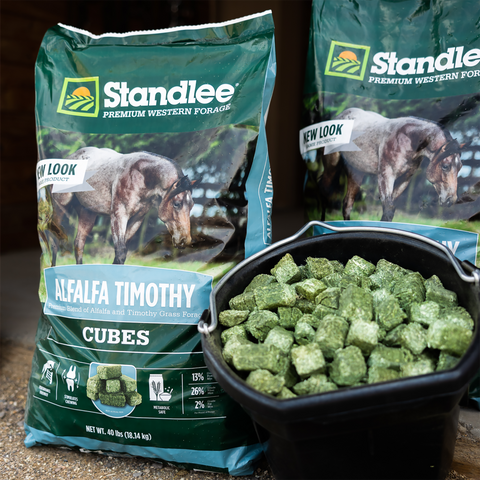 Alfalfa Timothy Cubes - 40lbs
