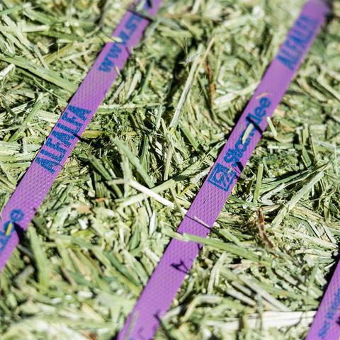 Alfalfa Compressed Bale - 50lbs