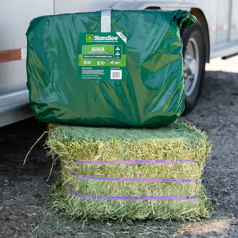 Alfalfa Grab & Go Bale - 50lbs