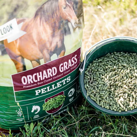 Orchard Grass Pellets - 40lbs