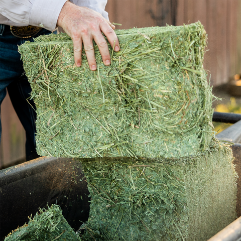 Certified Timothy Compressed Bale - 50lbs