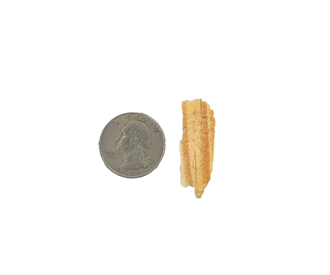 Pine Shavings - Medium