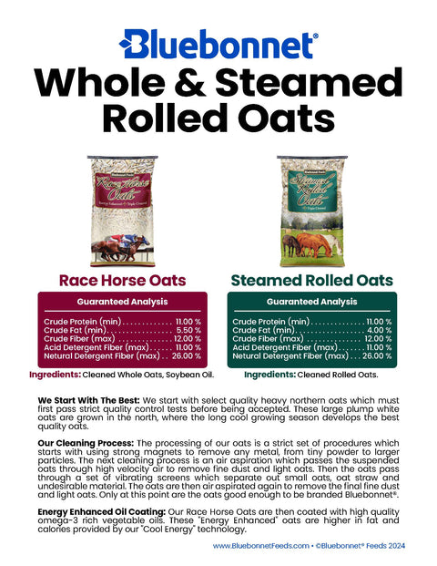 Bluebonnet - Steamed Rolled Oats