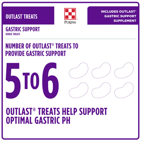 Purina Outlast Horse Treats