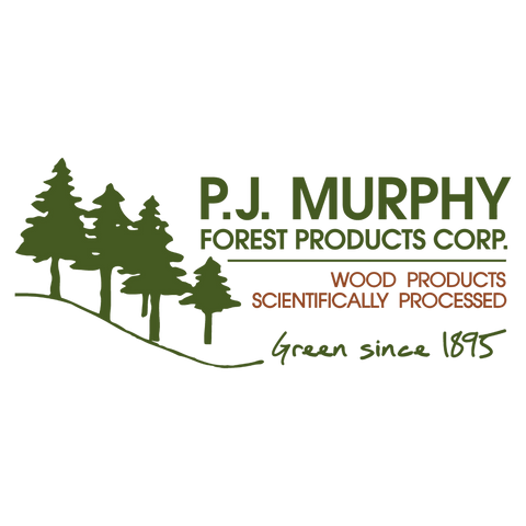 PJ Murphy