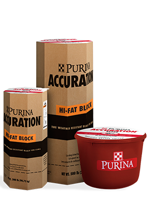 Purina Accuration Block 31BB