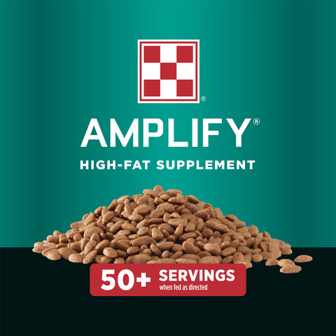 Purina Amplify High-Fat Supplement 35HC