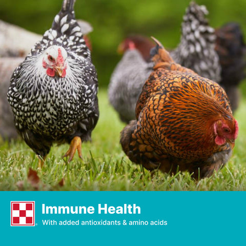 Purina Layena Crumbles