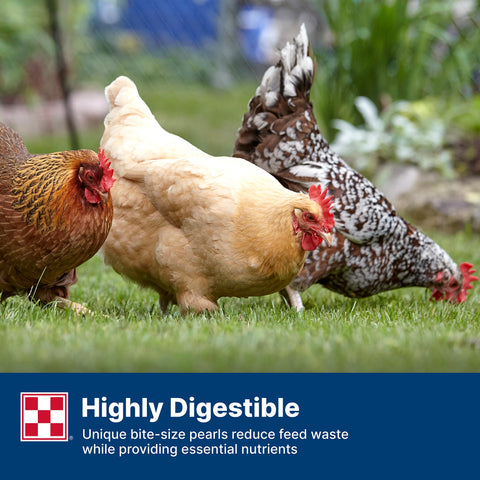 Purina Layena Pearls