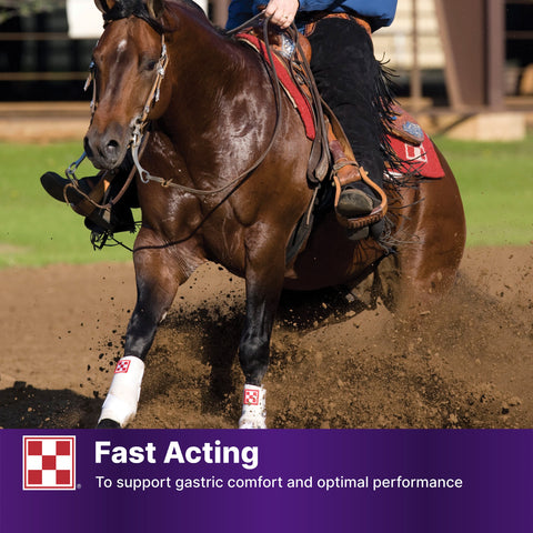 Purina Outlast Gastric Support Supp 35XA - 40lb