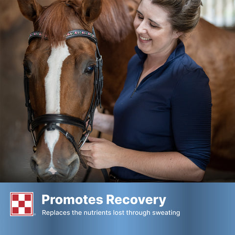 Purina RepleniMash 35UH - 25lb