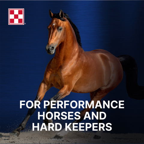 Purina Ultium Comp Horse 35UM - 50lb