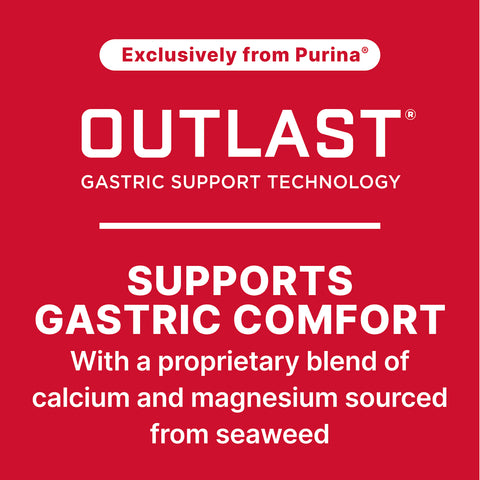 Purina Ultium Comp Horse 35UM - 50lb