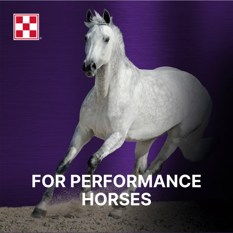 Purina Ultium Gastric Care 35XX - 50lb