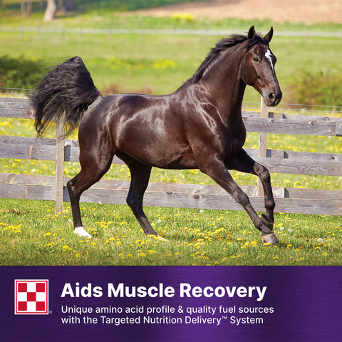 Purina Ultium Gastric Care 35XX - 50lb