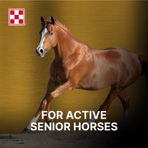 Purina Ultium Senior 3H2Q - 50lb