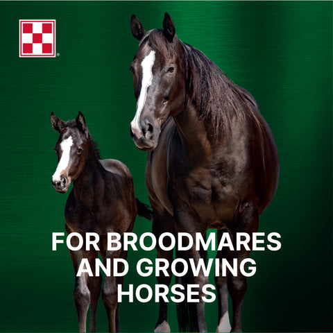 Purina Ultium Growth 35WL - 50lb