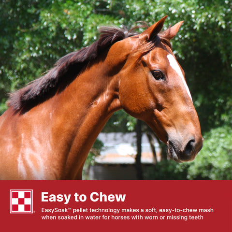 Purina Equine Senior 35WY - 50lb