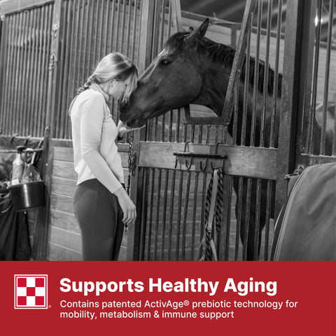 Purina Equine Senior 35WY - 50lb