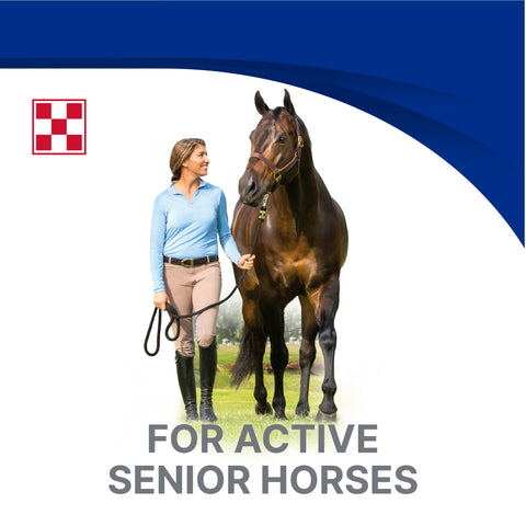 Purina Equine Senior Active 35YJ - 50lb