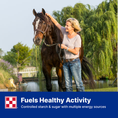 Purina Equine Senior Active 35YJ - 50lb