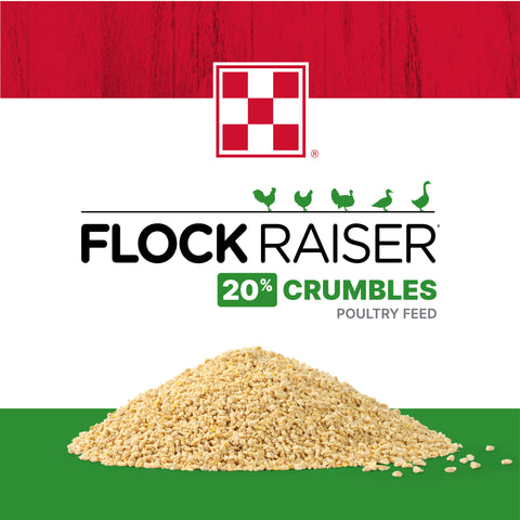 Purina Flock Raiser Crumbles 61HM