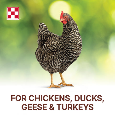 Purina Organic Scratch L5GC - 35lb