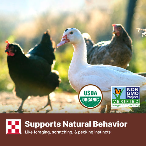 Purina Organic Scratch L5GC - 35lb
