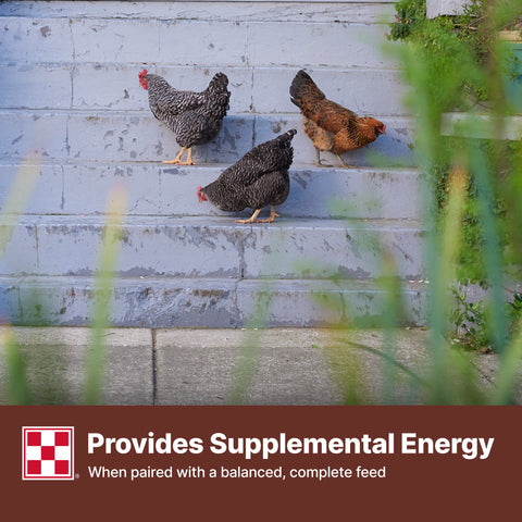 Purina Organic Scratch L5GC - 35lb