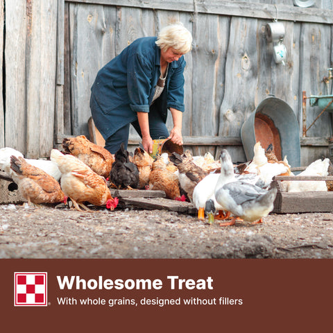 Purina Scratch Grain 61WW - 50lb