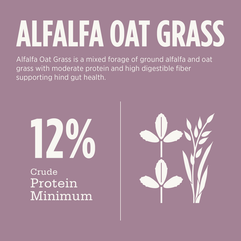 Alfalfa Oat Grass Pellets