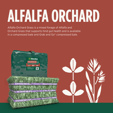 Alfalfa Orchard Compressed Bale - 50lbs