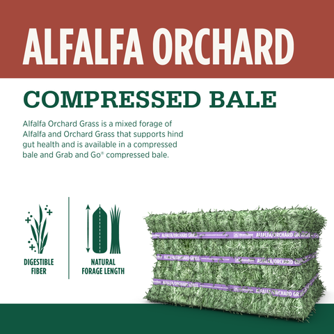 Alfalfa Orchard Compressed Bale - 50lbs