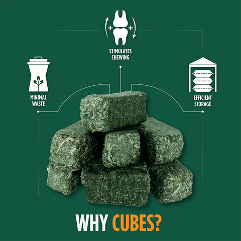 Alfalfa Timothy Cubes - 40lbs