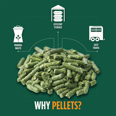 Alfalfa Timothy Pellets - 40lbs