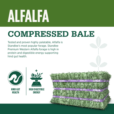 Alfalfa Compressed Bale - 50lbs