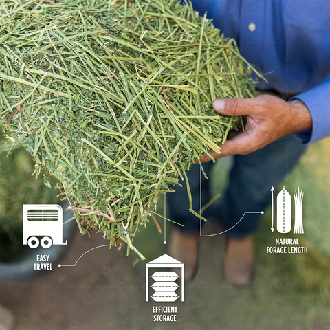 Alfalfa Orchard Compressed Bale - 50lbs