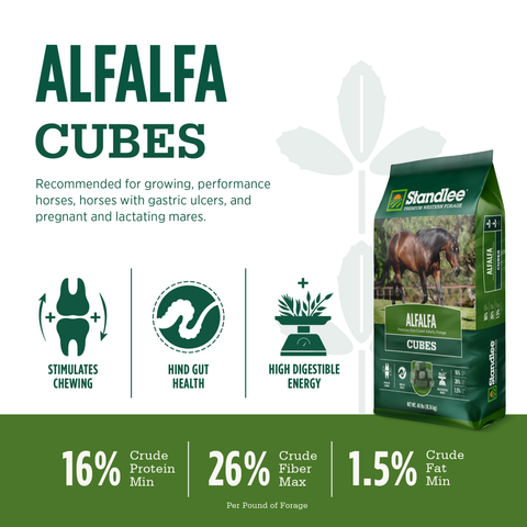 Alfalfa Cubes - 40lbs