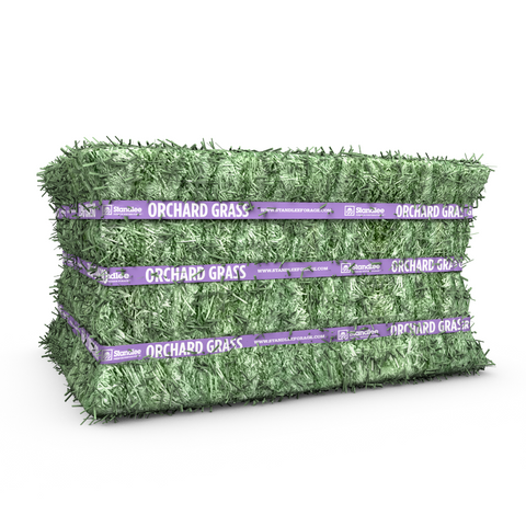 Orchard Grass Compressed Bale - 50lbs