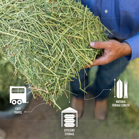 Orchard Grass Grab & Go Compressed Bale - 50lbs