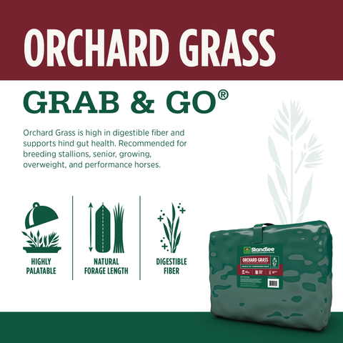 Orchard Grass Grab & Go Compressed Bale - 50lbs