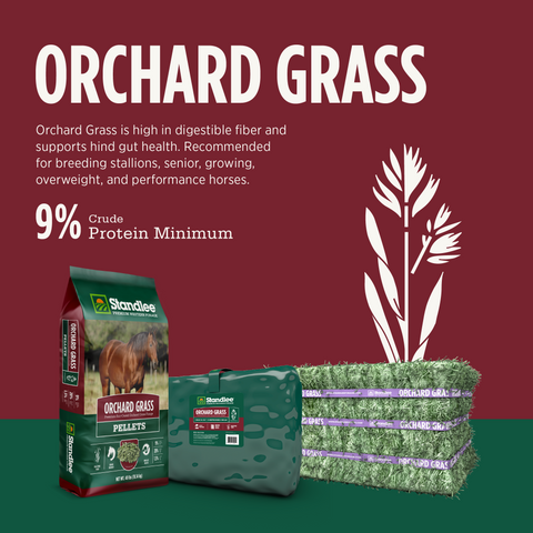 Orchard Grass Grab & Go Compressed Bale - 50lbs