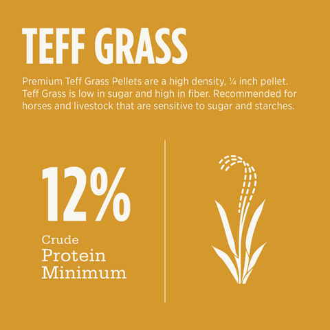 Teff Grass Pellets - 40lbs