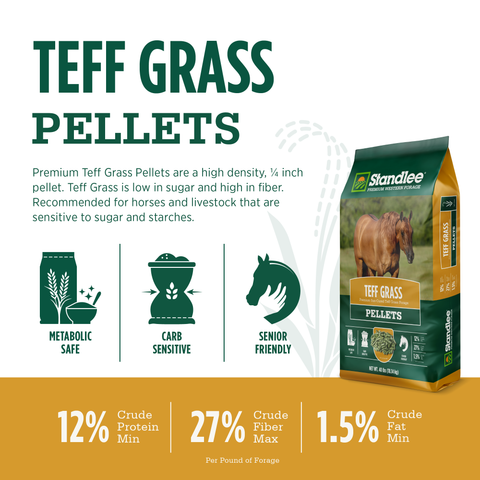 Teff Grass Pellets - 40lbs