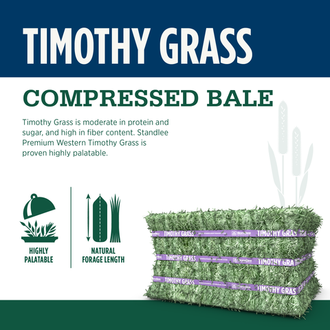Timothy Compressed Bale - 50lbs